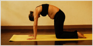 5 best yoga pregnancy poses
